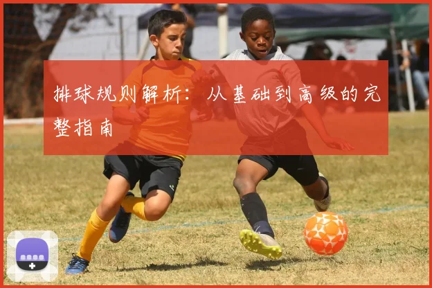 排球规则解析：从基础到高级的完整指南